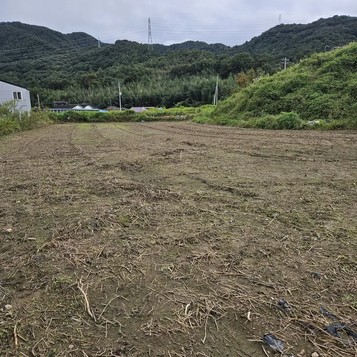 전남 담양 땅 (전) 매매 1,401 m2 = 423평