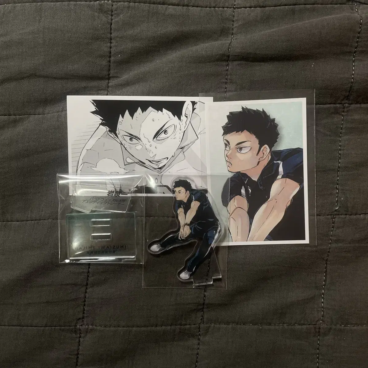 Haikyuu Chronicle 10th Anniversary Iwaizumi acrylic stand memoriesnap photocard