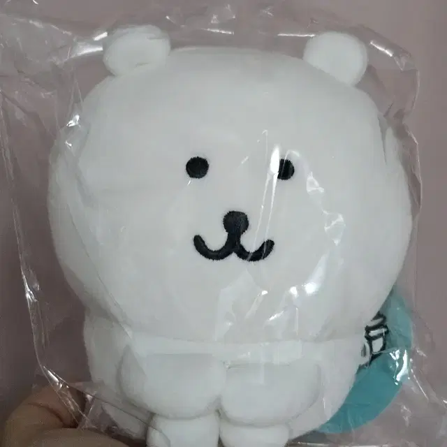 체육 꼬옥 앉은 농담곰 인형 앉아있는 쭈굴 담곰이 나가노마켓