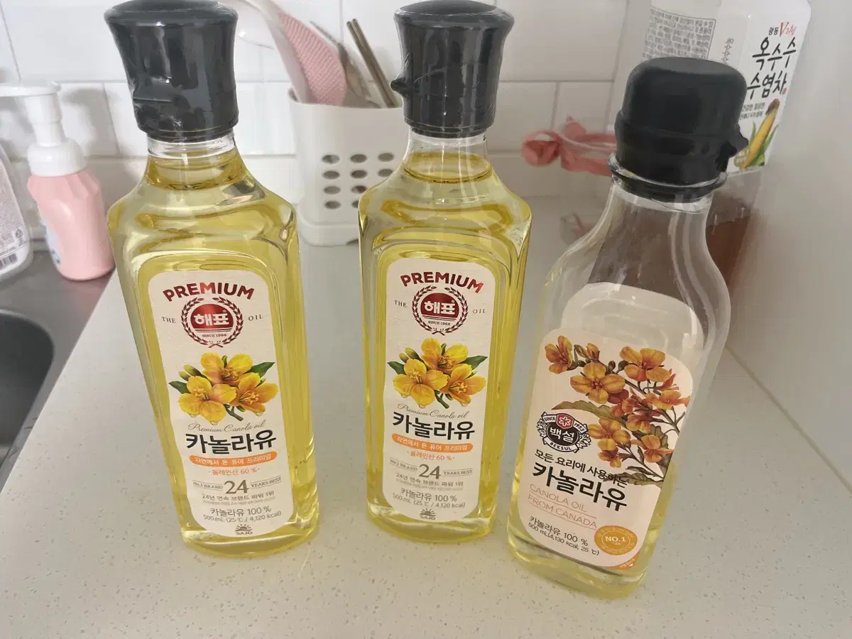 카놀라유 기름