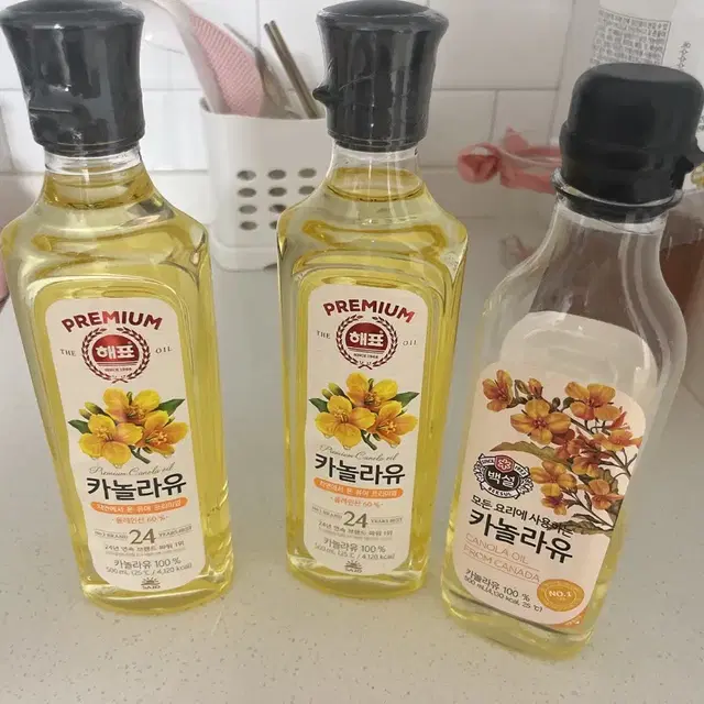 카놀라유 기름