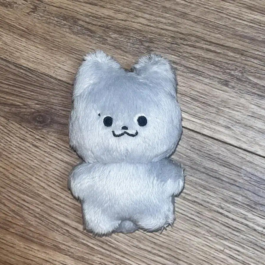 더보이즈 주연 인형 쥬냥이 양도합니다