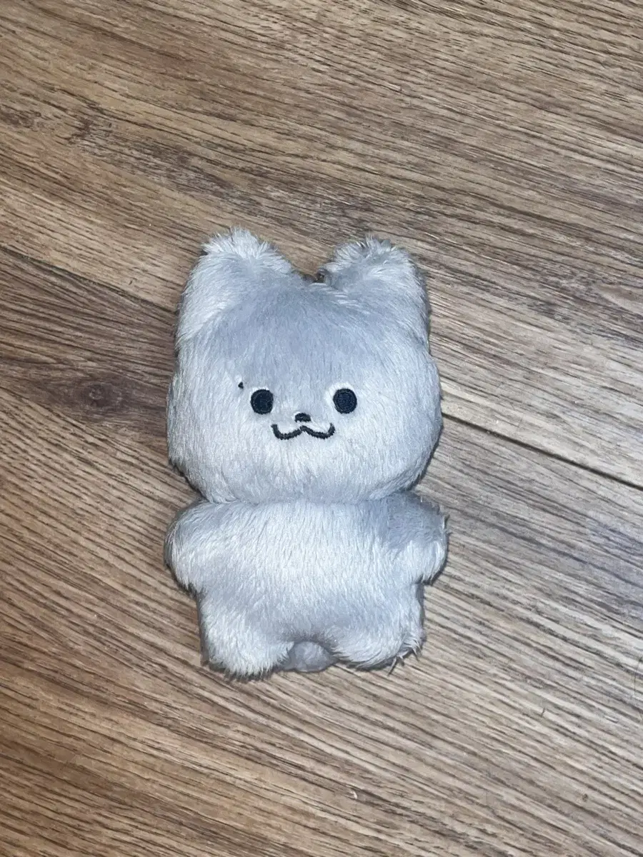 The Boyz juyeon doll Jeunesse wts