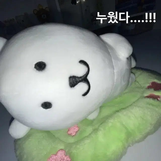 누운 농담곰 제습인형