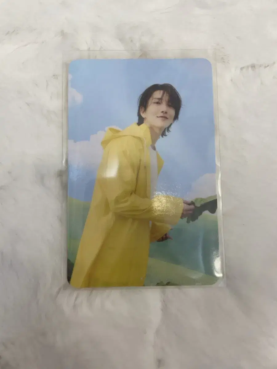 Haven Caratbahn joshua photocard