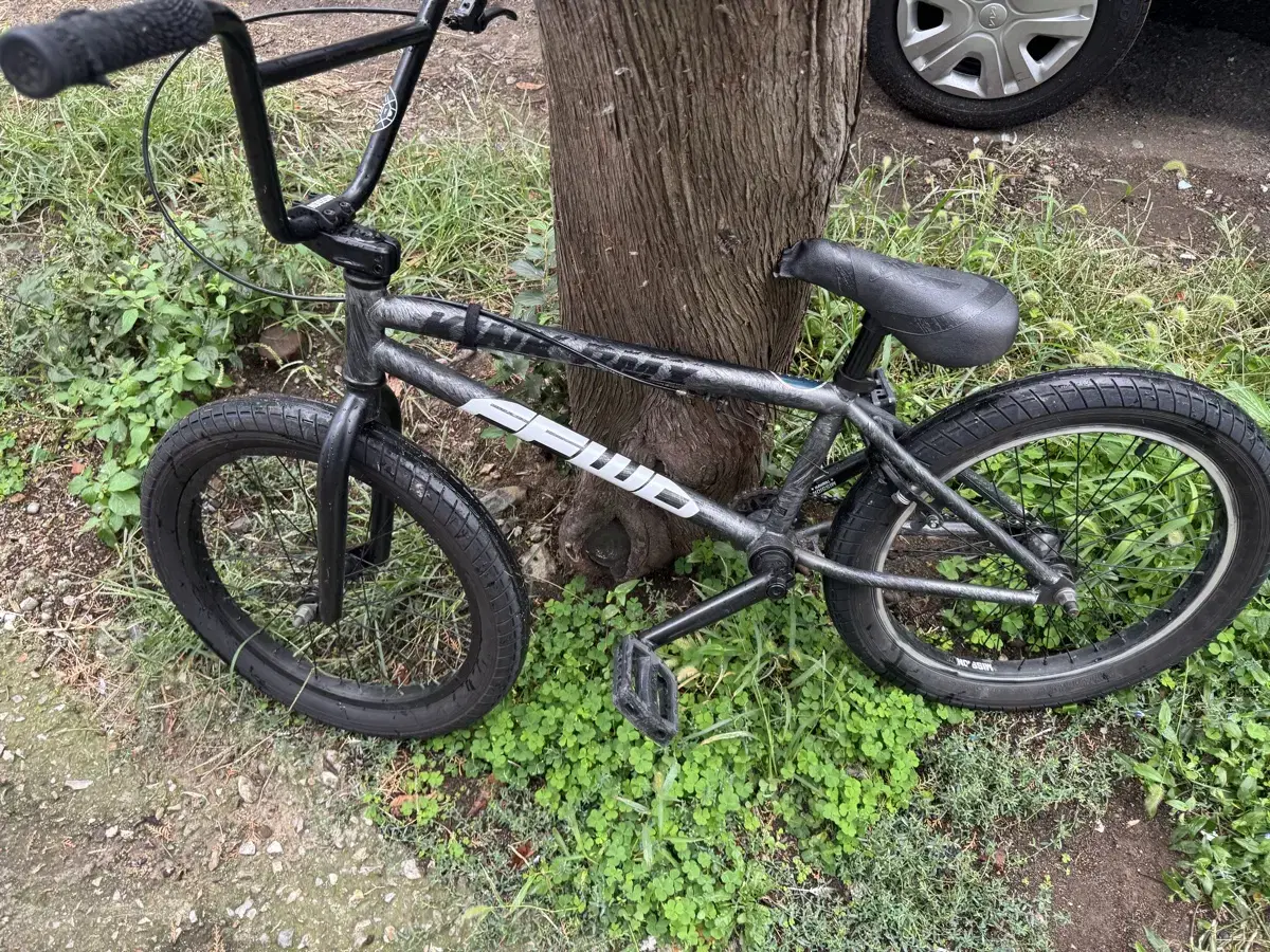 bmx