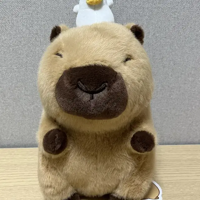 카피바라짱 오리 25cm 인형