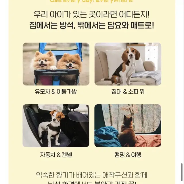 페스룸 라이트 블랭킷 쿠션