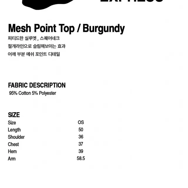 웰빙익스프레스 매쉬 포인트 탑 Mesh Point Top Brown