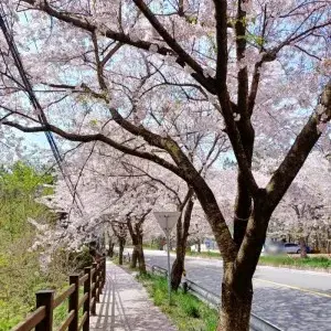 (임대) 태안시내 및 바다 근거리 위치 "숲세권 전원주택" 월세/전세