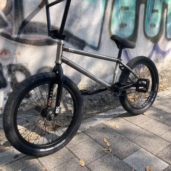 스트레인저 풀커스텀 BMX