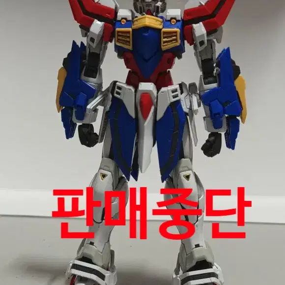 RG 갓 건담