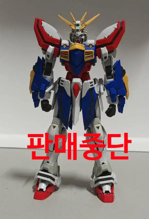 RG 갓 건담