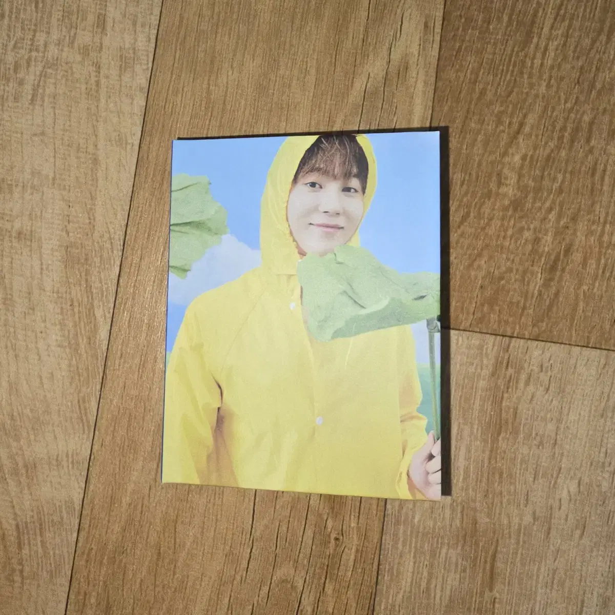 SEVENTEENTH HEAVEN Carat Vahn seungkwan Photo Card + binder WTS