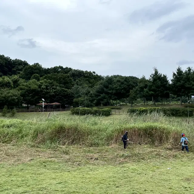 조경 예초 작업 전문업체