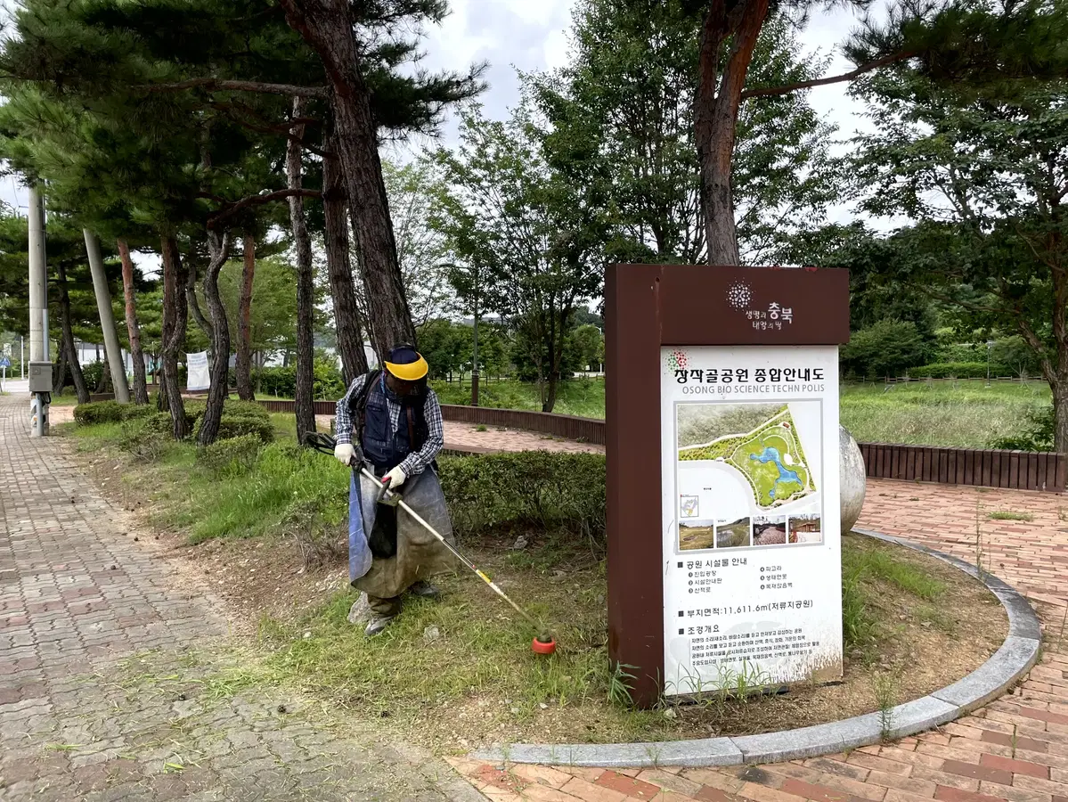 조경 예초 작업 전문업체