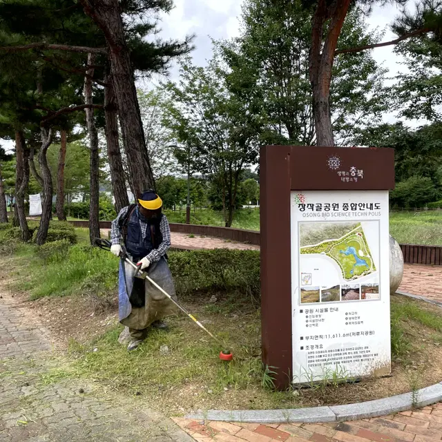 조경 예초 작업 전문업체