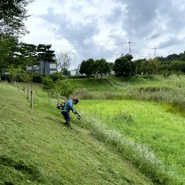 조경 예초 작업 전문업체