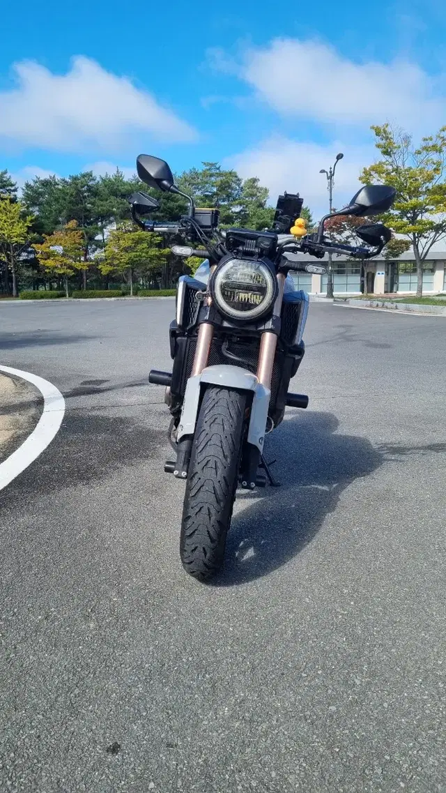 21년식 cb650r(그레이) 익실 풀배기(소음기X 104db 구변 완료