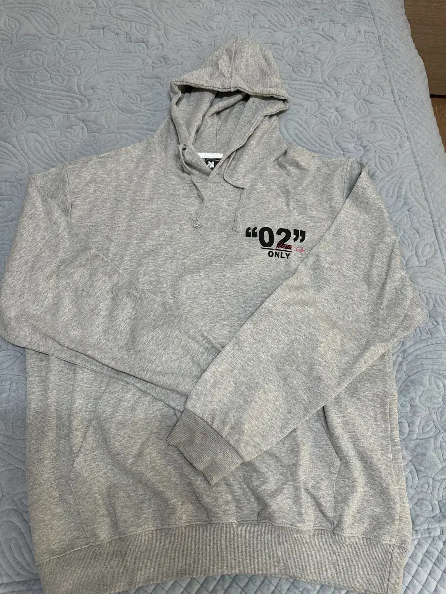 Big Logo Gray Hoodie 2XL