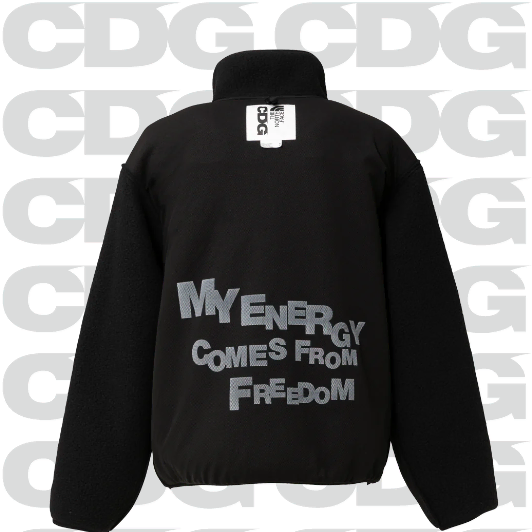 [해외] 꼼데가르송 CDG X 노스페이스 돔 하프집업 풀오버 24FW