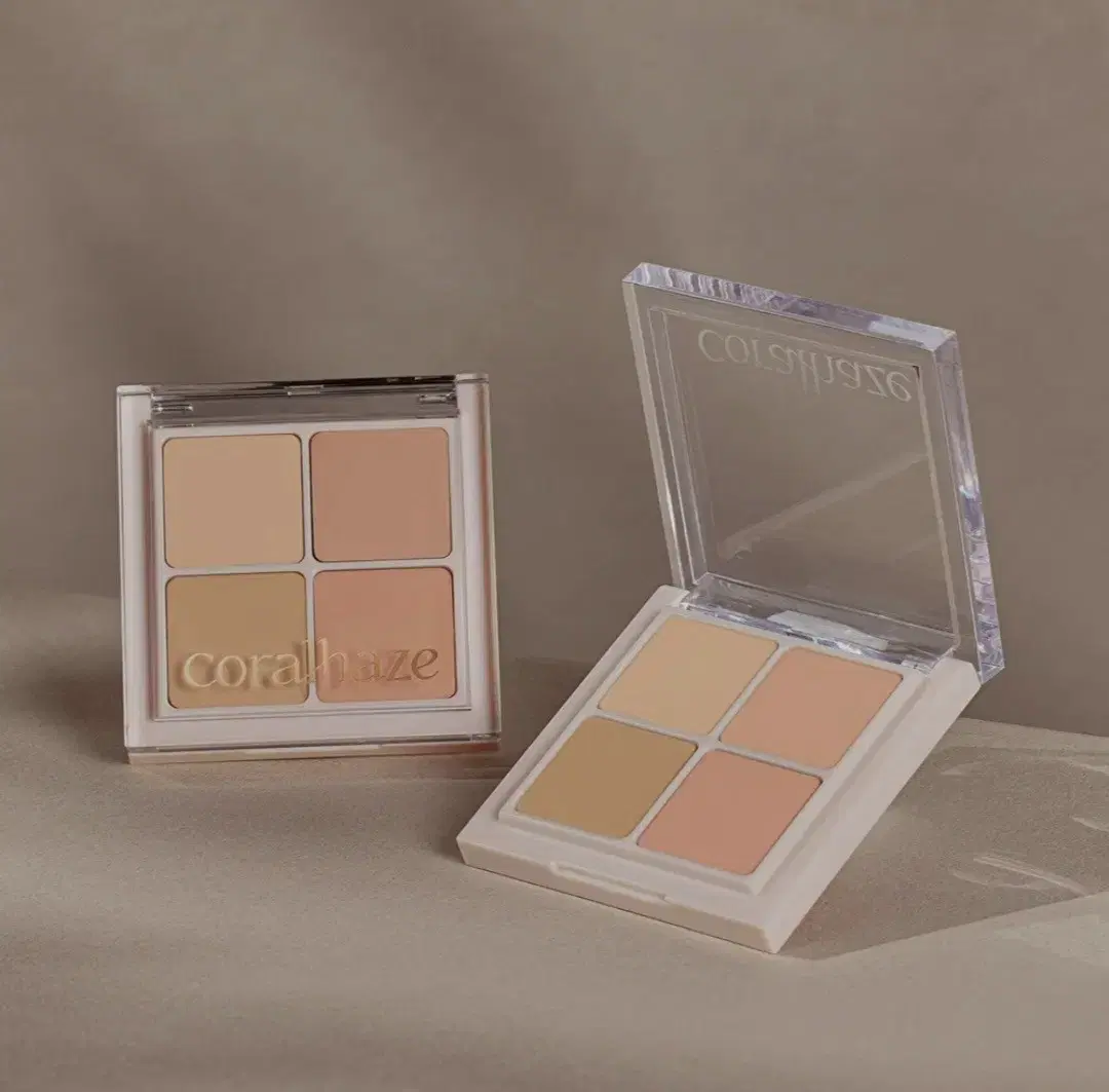 NEW) Coral Hayes Skin Fit Concealer Palette