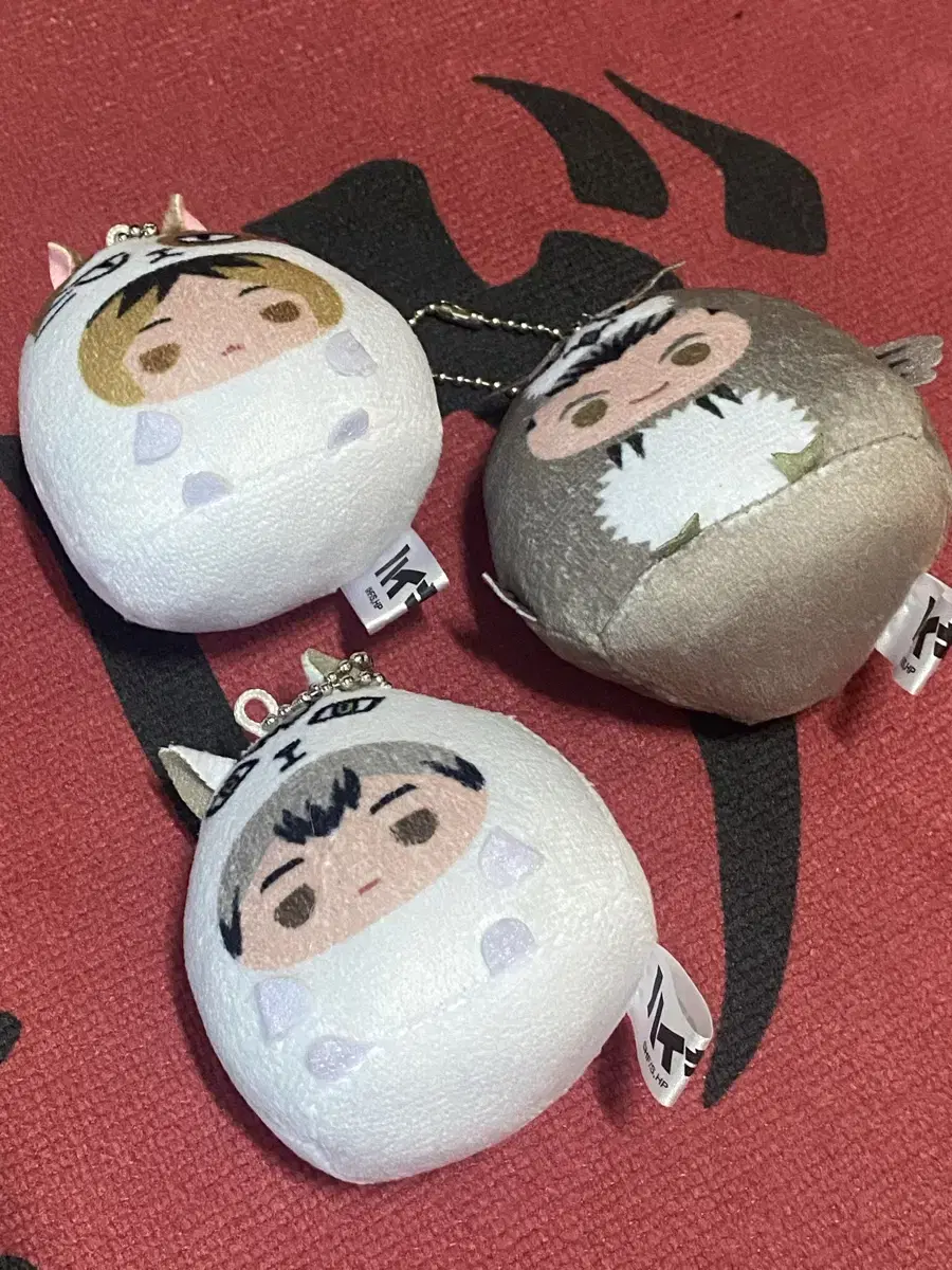 Haikyuu Tenorinzu Kenma,Kita,Bokuto in bulk