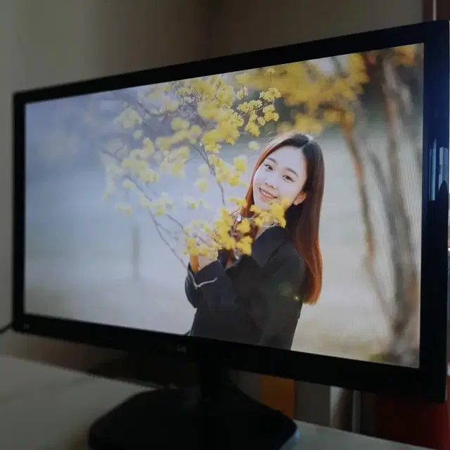 LG TV, 모니터 (IPS패널, Full HD) 24"