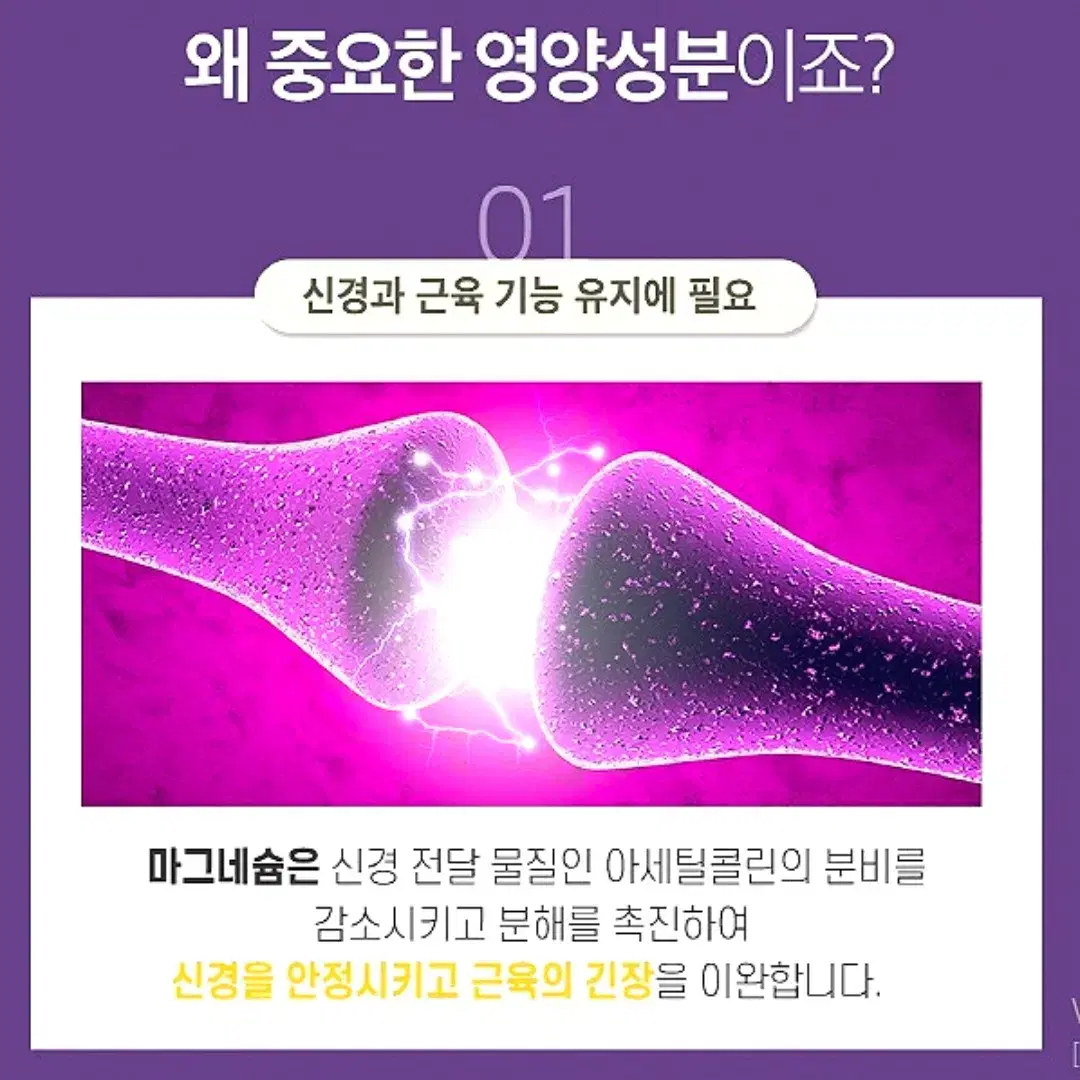 [2개월]로니웰파워 산화 마그네슘 400 비타민B 군복합 60정