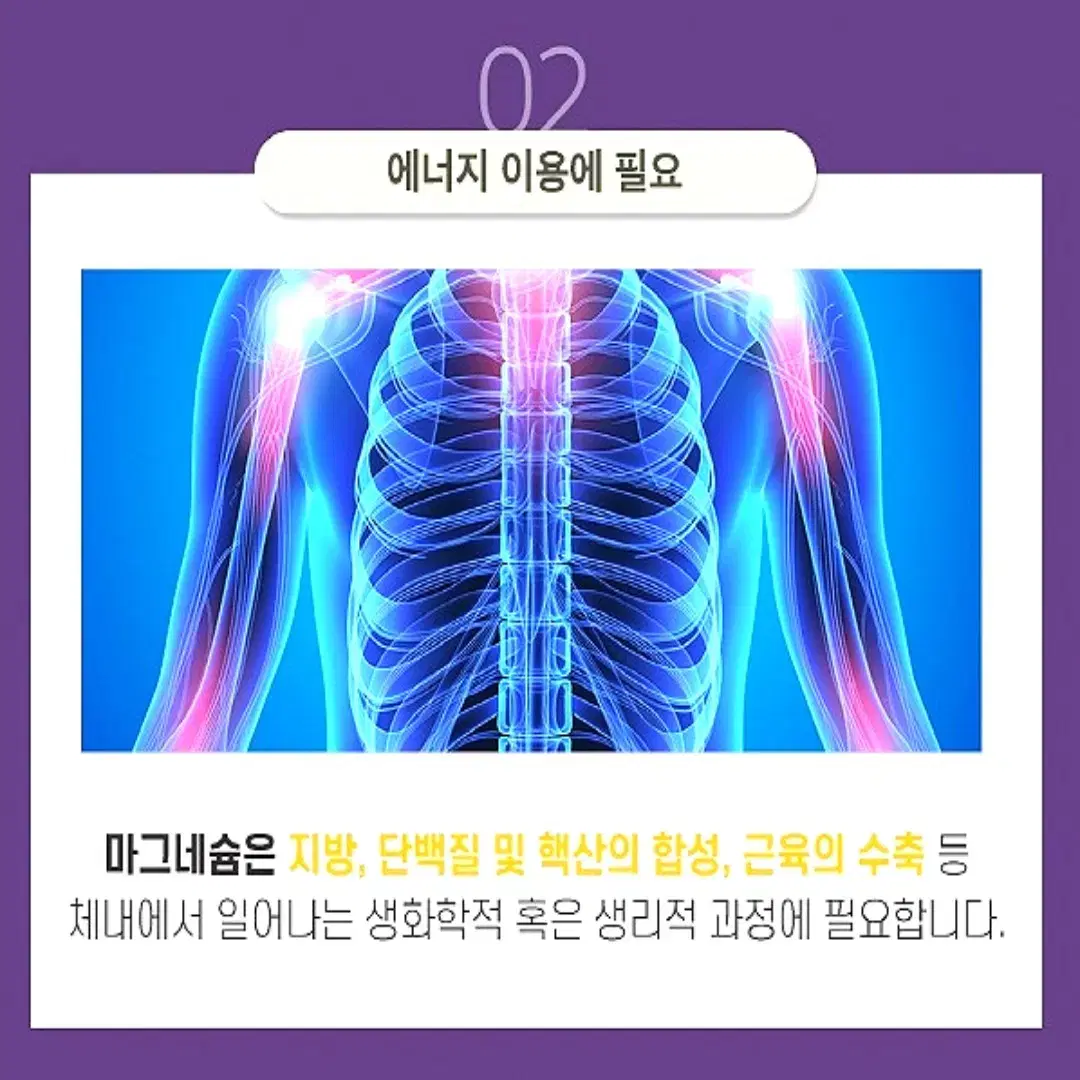 [2개월]로니웰파워 산화 마그네슘 400 비타민B 군복합 60정