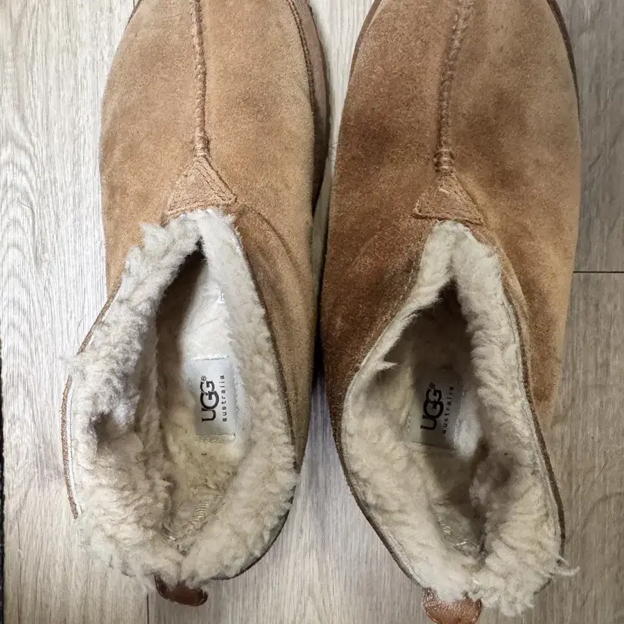 ugg 어그 Neusid 260판매