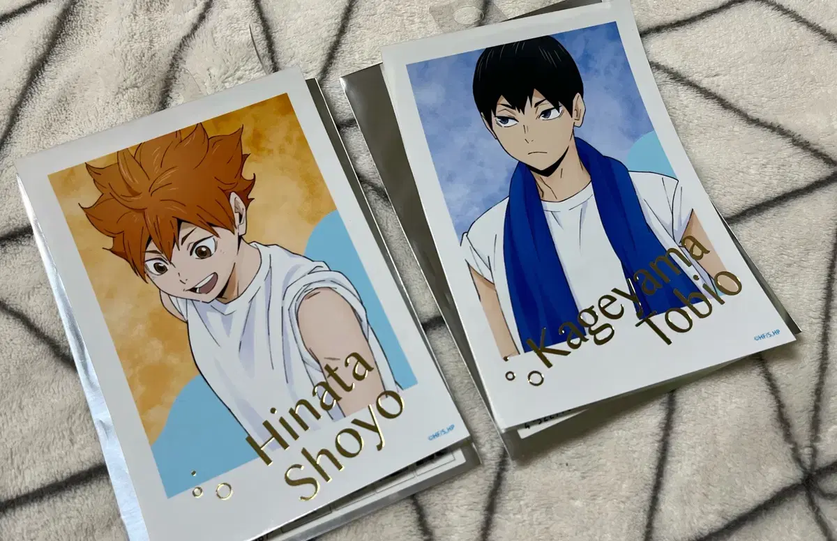 Haikyuu Cleaning Bromide photocard WTS