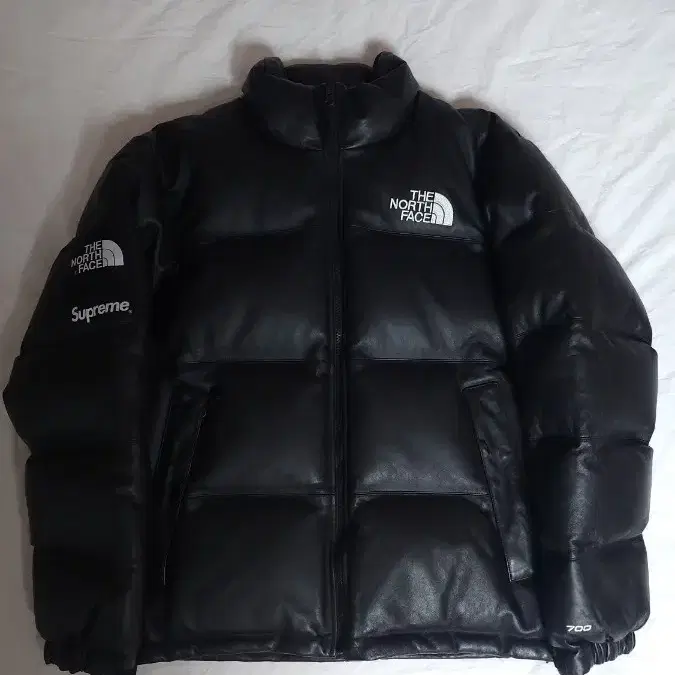 Supreme the north face 17fw online