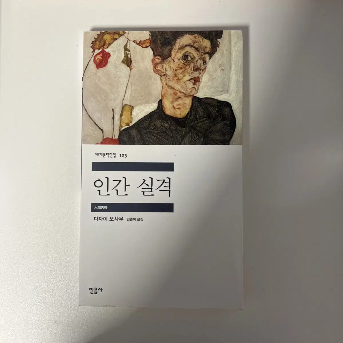 인간 실격 책