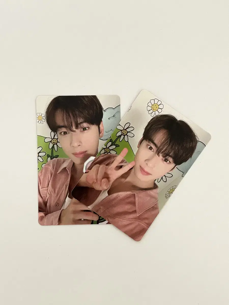 Cha Eunwoo 2023 season's greetings unreleased photocard (2p)