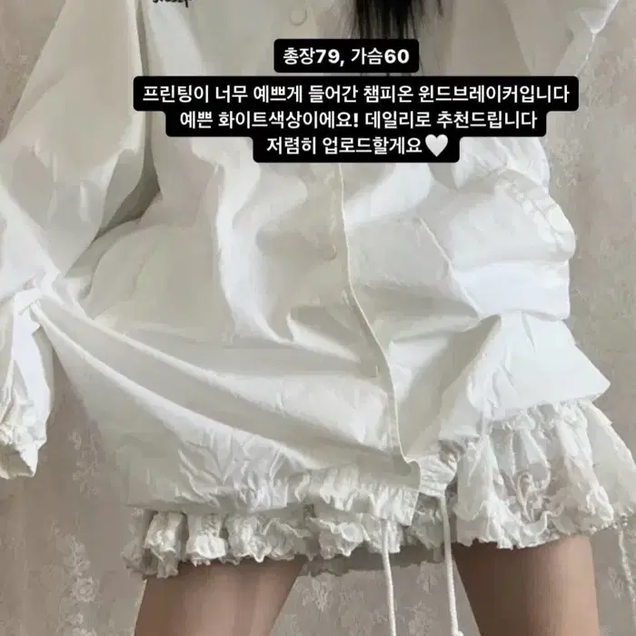 버터플라이 빈티지 챔피언 바람막이