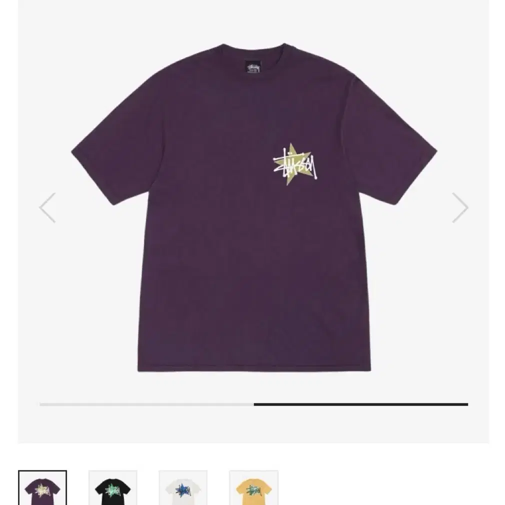 스투시 Stussy Star Pigment Dyed T-Shirt Pur