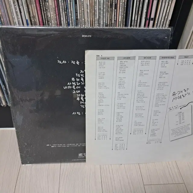 LP..유재하 초반(1987년)사랑하기 때문에