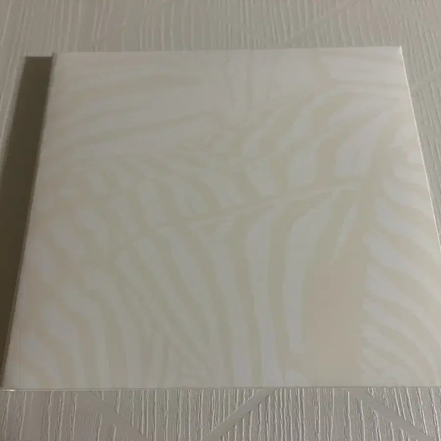 Beach House - Teen Dream (CD+DVD)(가격 인하)