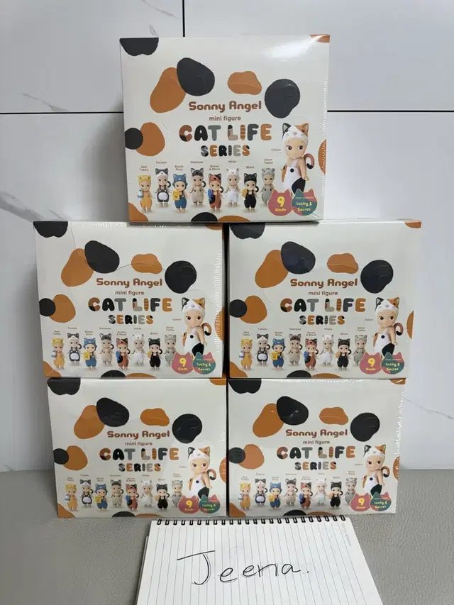 Cat Life캣 라이프 (박스)