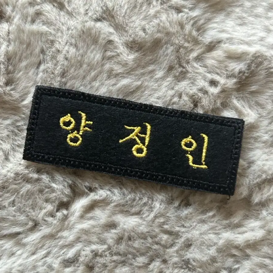 1차) 스키즈 아이엔 자수명찰