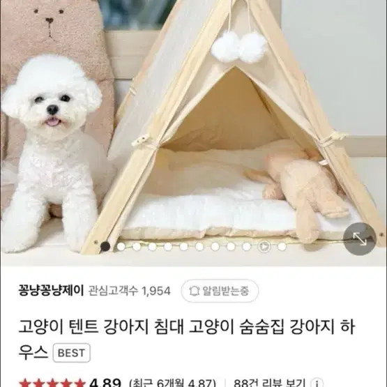 강아지 집