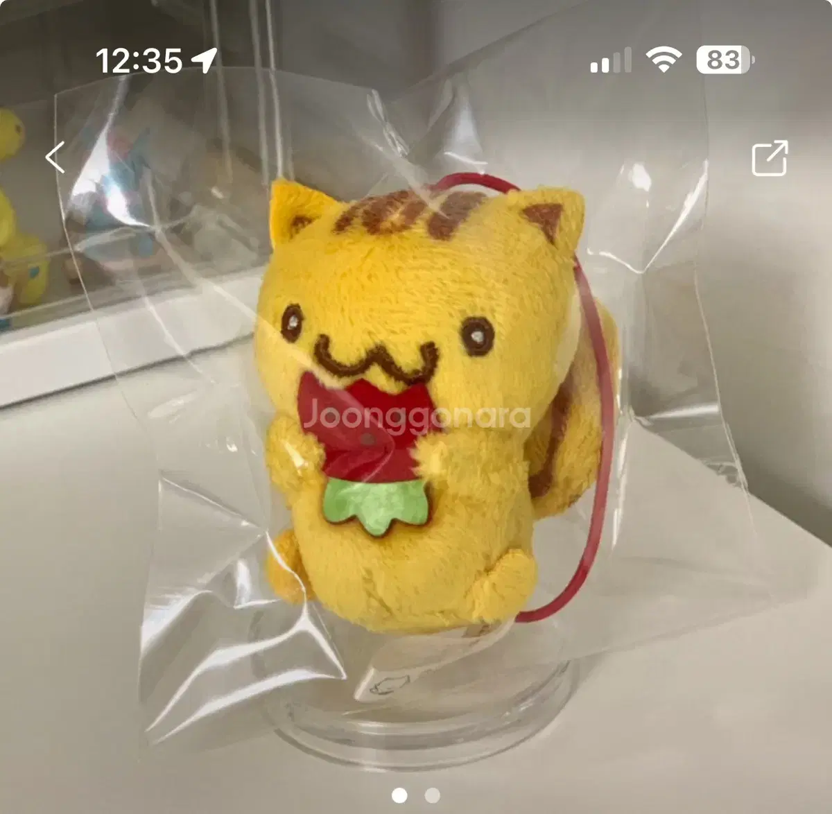 Classic Pompompurin Bagel Squirrel Strawberry Eating Doll