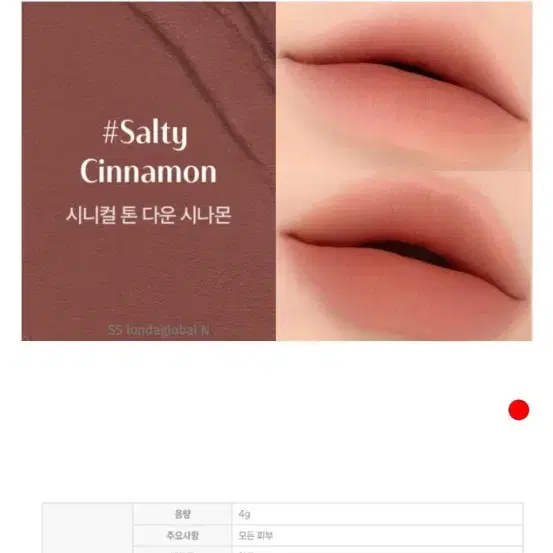 3CE 블러 매트 립스틱 SALTY CINNAMON