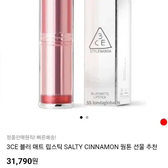 3CE 블러 매트 립스틱 SALTY CINNAMON