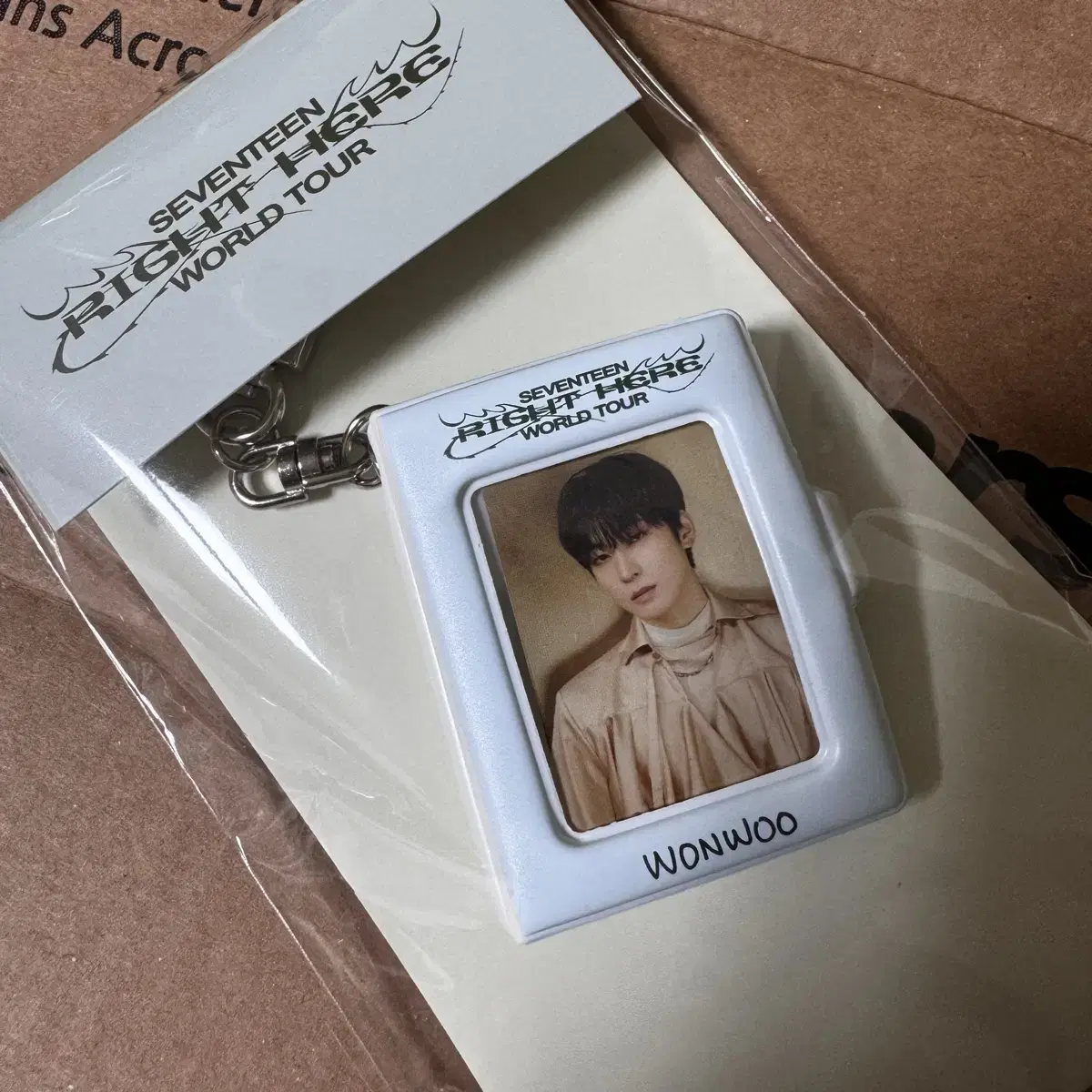 Seventeen Catcon Mini collect book Keyring (wonwoo)