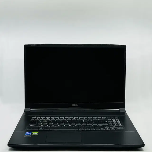 MSI 게이밍노트북 GF76 B13VFK 17인치 32GB/RTX4060