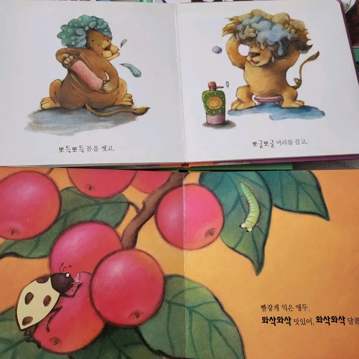 아기그림책 보드북 일괄(전권x)