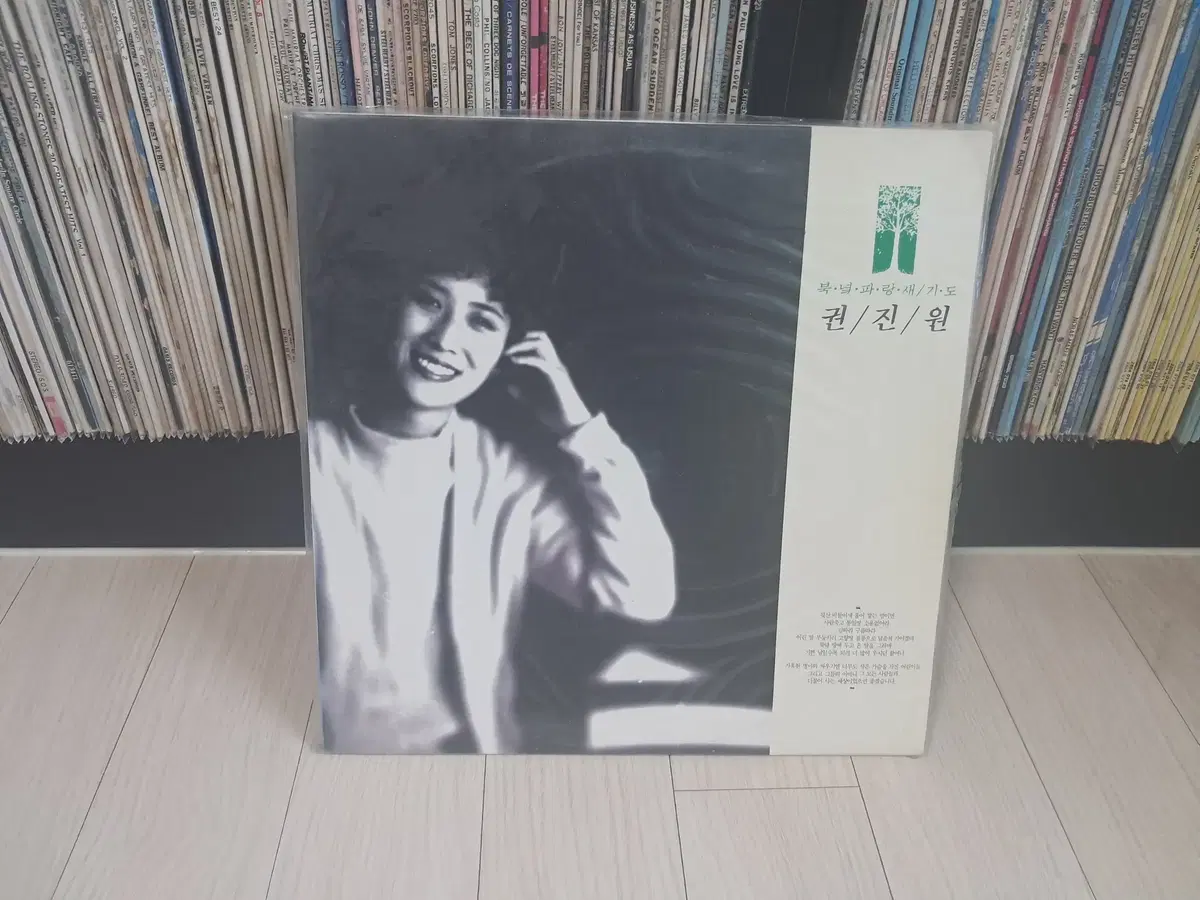 LP..미개봉 권진원초반(1992년)북녘파랑새,기도