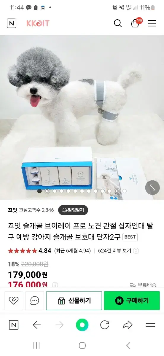 꼬잇 강아지 쓸개골 치료제 밴드만 새거